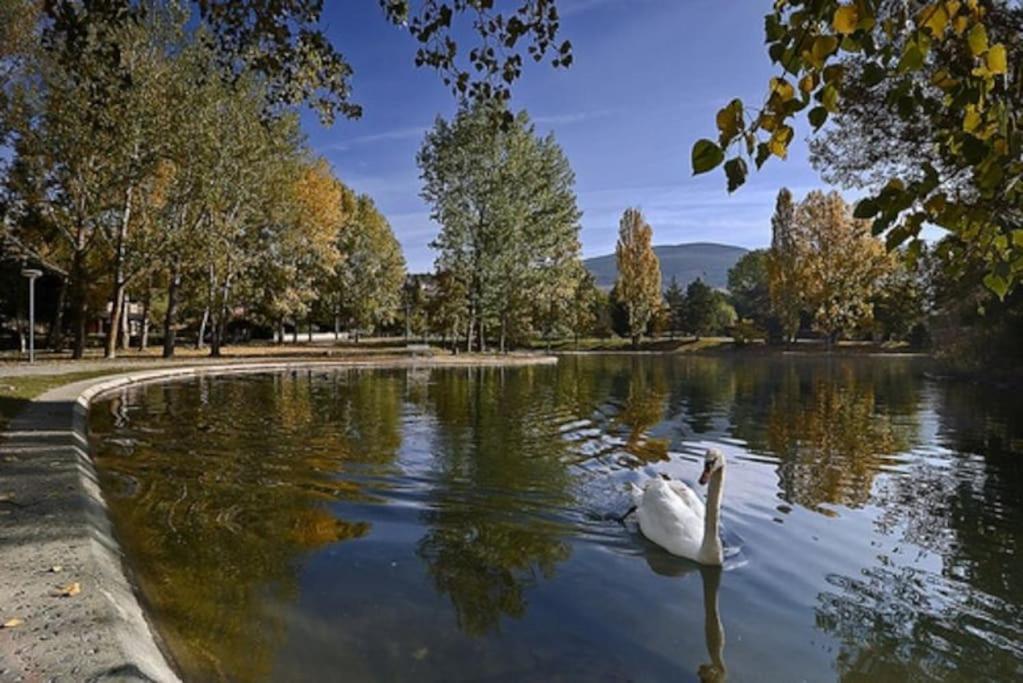 Ideal Parejas - Tranquilidad Y Naturaleza - Vistas Al Lago Osséja Εξωτερικό φωτογραφία