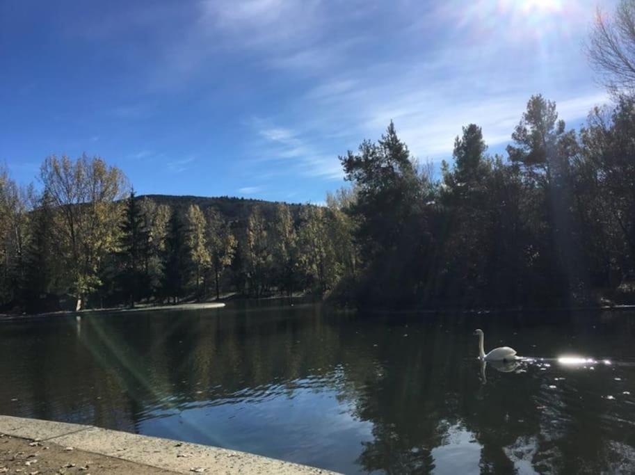 Ideal Parejas - Tranquilidad Y Naturaleza - Vistas Al Lago Osséja Εξωτερικό φωτογραφία
